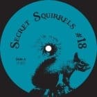 Secret Squirrel - Secret Squirrels no18