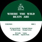 Garrett David / Black Loops / Carlo / Baldo - Where The Wild Beats Are