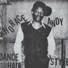 Horace Andy - Dance Hall Style