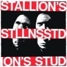 Stallion's Stud - Stllnsstd