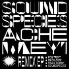 Soundspecies and Ache Meyi - Remix EP