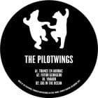 The Pilotwings - Psytube