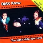 DMX Krew - You Can't Hide Your Love