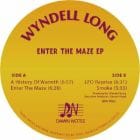 Wyndell Long - Enter The Maze