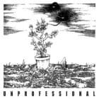 Unprofessional - Untitled