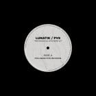 Lunatik / PVS / Subjective Methods  - Methodical Systems Vol.1