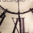 D'Arcangelo - Eksel