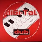 Conscious Sounds - DiGi-Tal Dub