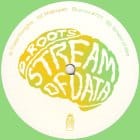 D_Roots - Stream of data EP