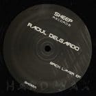 Raoul Delgardo - Brick Layer EP