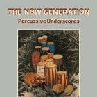 Peter Ludemann / Pit Troja - The Now Generation (Percussive Underscores)