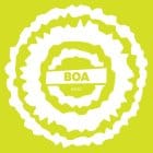 BOA - BOA w/ Mosca Remix