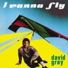 David Gray - I Wanna Fly