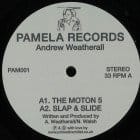 Andrew Weatherall - Pamela 1