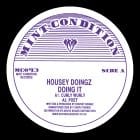 Housey Doingz - Doing It