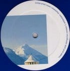 Pole - Steingarten remixes part 3 (Shackleton)