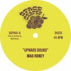 Mad Honey - Upward Bound / Treasure Every Sunset