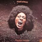 Funkadelic - Maggot Brain