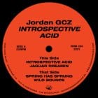 Jordan GCZ - Introspective Acid