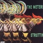 The Meters - Struttin