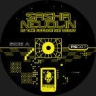 Sasha Nevolin - In The Future We Trust