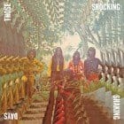 Various Artists - Those Shocking, Shaking Days