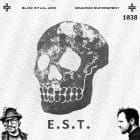 E.S.T. - Panzerkreuz 1038