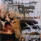 Timbaland & Magoo - Under Construction Part II