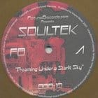 Soultek - Untitled