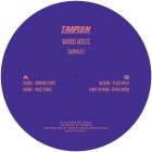 Various Artists - Taapion 017