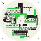 Voiski - Unforeseen Alliance 3