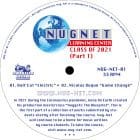 Various Artists - Nugnet Learning Center - Class Of 2021 (Part 1)