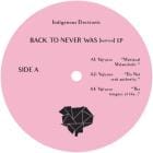 Yajiyuso / Ramtin Niazi - Back To Never Was