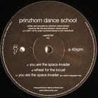 Prinzhorn Dance School - You Are The Space Invader