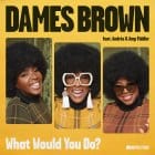 Dames Brown ft. Andres & Amp Fiddler - What Would You Do (Folamour remix)