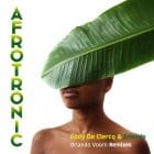 Various Artists - Afrotronic (Orlando Voorn remixes)