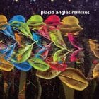 Placid Angles (John Beltran) - Touch The Earth (Remixes)