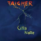 Taigher - Citta / Notte