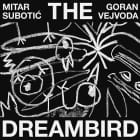 Mitar Subotic & Goran Vejvoda - The Dreambird