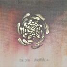 Calibre - Shelflife 4