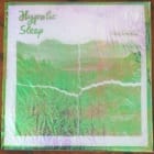 Hypnotic Sleep / The Fulmars - Autumn Glory