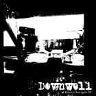 Downwell - Relative Strangers 