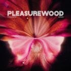 Pleasurewood - Firework / Move