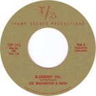 Joe Washington and Wash - Blueberry Hill