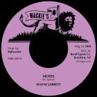 Wayne Jarrett / Soul Syndicate - Moses / Raw Rhythm