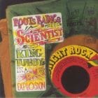 Roots Radics Meets Scientist And King Tubby - In A Dub Explosion