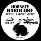 Hornsey Hardcore - Sixth Amendment