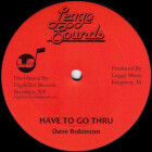 Dave Robinson - Have To Go Thru