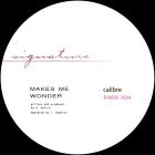 Calibre - Makes Me Wonder / Got To Have You