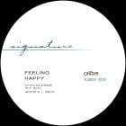 Calibre - Feeling Happy / Think Again